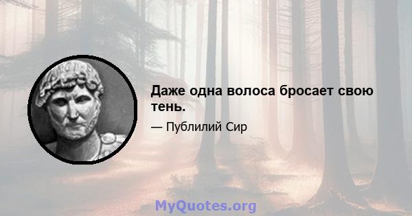 Даже одна волоса бросает свою тень.