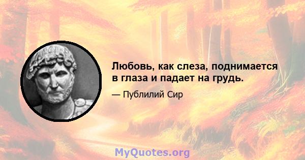 Любовь, как слеза, поднимается в глаза и падает на грудь.