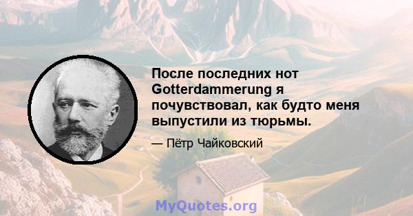 После последних нот Gotterdammerung я почувствовал, как будто меня выпустили из тюрьмы.