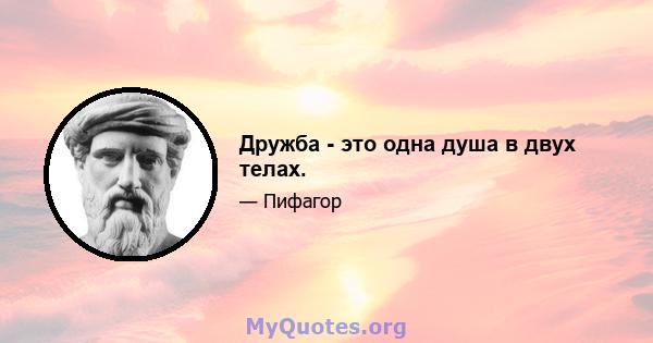 Дружба - это одна душа в двух телах.