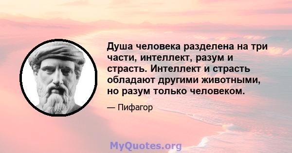 Душа человека разделена на три части, интеллект, разум и страсть. Интеллект и страсть обладают другими животными, но разум только человеком.