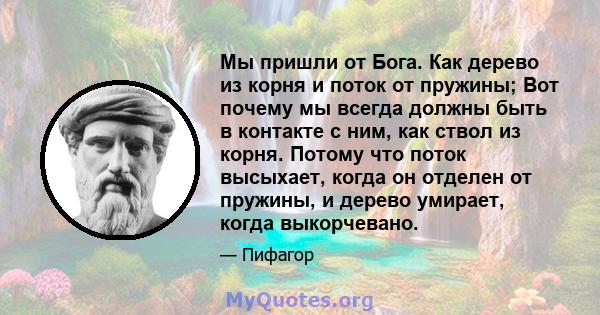 Мы пришли от Бога. Как дерево из корня и поток от пружины; Вот почему мы всегда должны быть в контакте с ним, как ствол из корня. Потому что поток высыхает, когда он отделен от пружины, и дерево умирает, когда