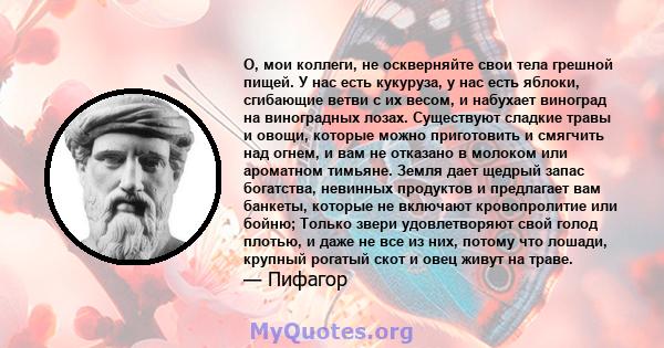 О, мои коллеги, не оскверняйте свои тела грешной пищей. У нас есть кукуруза, у нас есть яблоки, сгибающие ветви с их весом, и набухает виноград на виноградных лозах. Существуют сладкие травы и овощи, которые можно