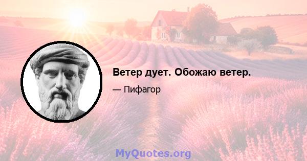 Ветер дует. Обожаю ветер.