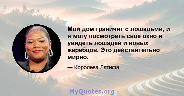 Мой дом граничит с лошадьми, и я могу посмотреть свое окно и увидеть лошадей и новых жеребцов. Это действительно мирно.