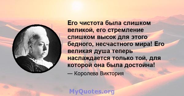 Его чистота была слишком великой, его стремление слишком высок для этого бедного, несчастного мира! Его великая душа теперь наслаждается только той, для которой она была достойна!