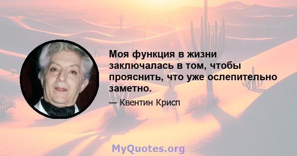 Моя функция в жизни заключалась в том, чтобы прояснить, что уже ослепительно заметно.