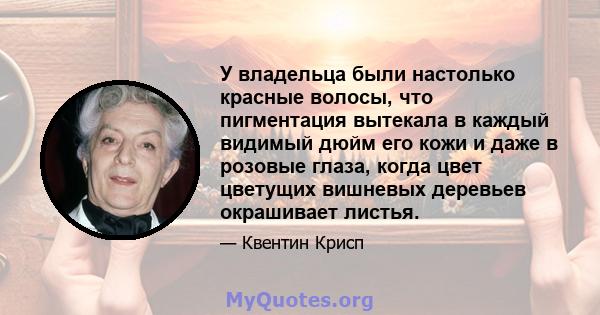 У владельца были настолько красные волосы, что пигментация вытекала в каждый видимый дюйм его кожи и даже в розовые глаза, когда цвет цветущих вишневых деревьев окрашивает листья.