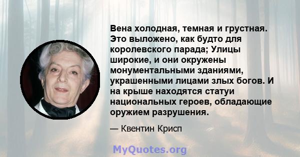 Вена холодная, темная и грустная. Это выложено, как будто для королевского парада; Улицы широкие, и они окружены монументальными зданиями, украшенными лицами злых богов. И на крыше находятся статуи национальных героев,