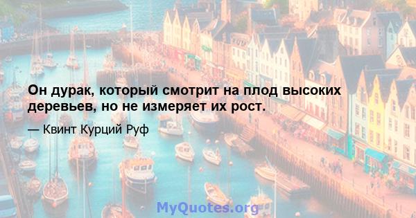 Он дурак, который смотрит на плод высоких деревьев, но не измеряет их рост.