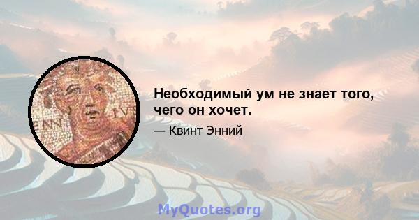 Необходимый ум не знает того, чего он хочет.