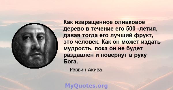 Как извращенное оливковое дерево в течение его 500 -летия, давая тогда его лучший фрукт, это человек. Как он может издать мудрость, пока он не будет раздавлен и повернут в руку Бога.