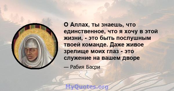 О Аллах, ты знаешь, что единственное, что я хочу в этой жизни, - это быть послушным твоей команде. Даже живое зрелище моих глаз - это служение на вашем дворе