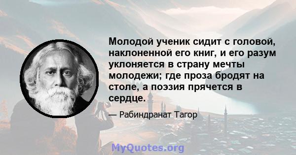 Молодой ученик сидит с головой, наклоненной его книг, и его разум уклоняется в страну мечты молодежи; где проза бродят на столе, а поэзия прячется в сердце.