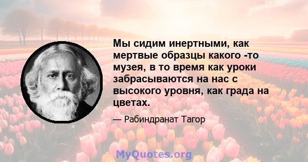 Мы сидим инертными, как мертвые образцы какого -то музея, в то время как уроки забрасываются на нас с высокого уровня, как града на цветах.