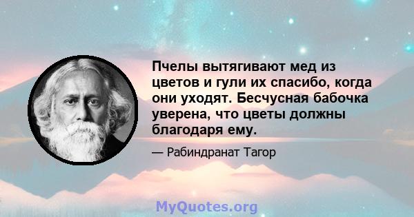 Пчелы вытягивают мед из цветов и гули их спасибо, когда они уходят. Бесчусная бабочка уверена, что цветы должны благодаря ему.