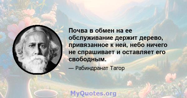 Почва в обмен на ее обслуживание держит дерево, привязанное к ней, небо ничего не спрашивает и оставляет его свободным.