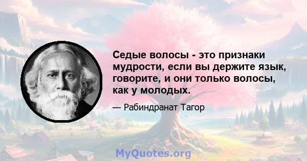 Седые волосы - это признаки мудрости, если вы держите язык, говорите, и они только волосы, как у молодых.