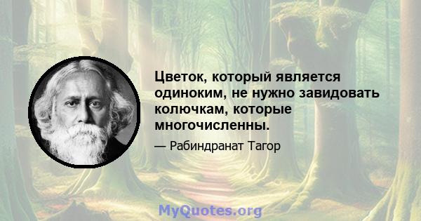 Цветок, который является одиноким, не нужно завидовать колючкам, которые многочисленны.