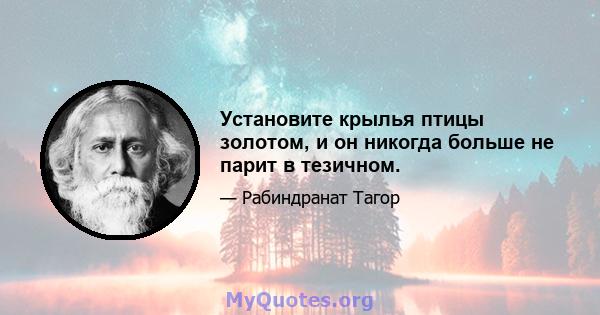 Установите крылья птицы золотом, и он никогда больше не парит в тезичном.