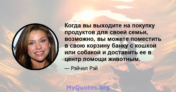 Когда вы выходите на покупку продуктов для своей семьи, возможно, вы можете поместить в свою корзину банку с кошкой или собакой и доставить ее в центр помощи животным.