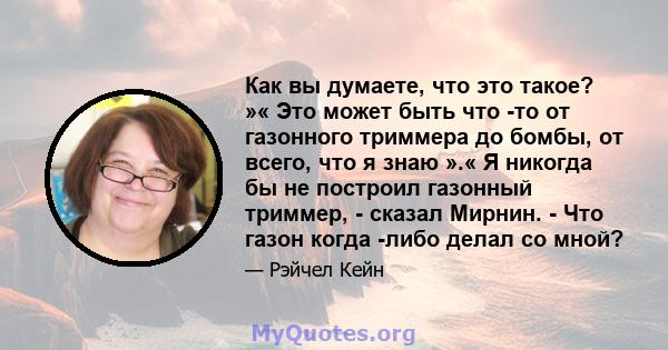 Как вы думаете, что это такое? »« Это может быть что -то от газонного триммера до бомбы, от всего, что я знаю ».« Я никогда бы не построил газонный триммер, - сказал Мирнин. - Что газон когда -либо делал со мной?