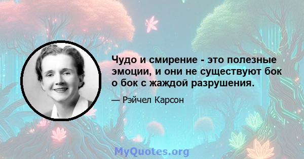 Чудо и смирение - это полезные эмоции, и они не существуют бок о бок с жаждой разрушения.