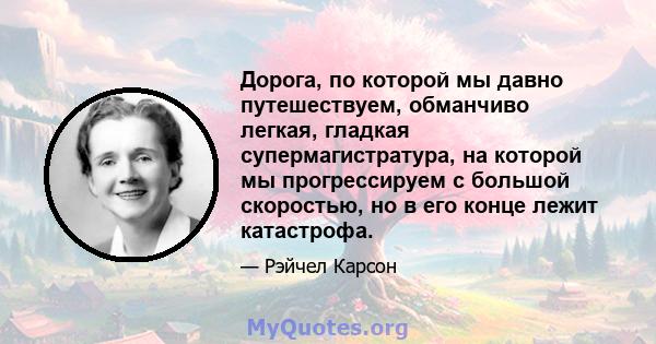 Дорога, по которой мы давно путешествуем, обманчиво легкая, гладкая супермагистратура, на которой мы прогрессируем с большой скоростью, но в его конце лежит катастрофа.