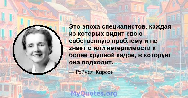 Это эпоха специалистов, каждая из которых видит свою собственную проблему и не знает о или нетерпимости к более крупной кадре, в которую она подходит.