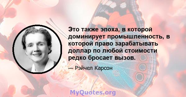 Это также эпоха, в которой доминирует промышленность, в которой право зарабатывать доллар по любой стоимости редко бросает вызов.