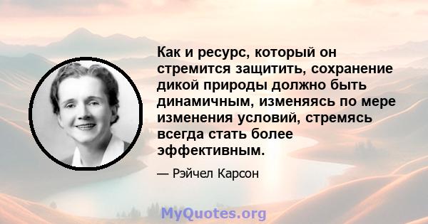 Как и ресурс, который он стремится защитить, сохранение дикой природы должно быть динамичным, изменяясь по мере изменения условий, стремясь всегда стать более эффективным.