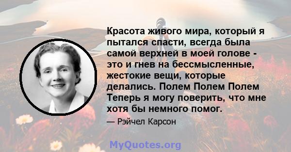 Красота живого мира, который я пытался спасти, всегда была самой верхней в моей голове - это и гнев на бессмысленные, жестокие вещи, которые делались. Полем Полем Полем Теперь я могу поверить, что мне хотя бы немного