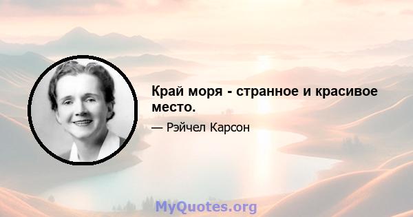 Край моря - странное и красивое место.