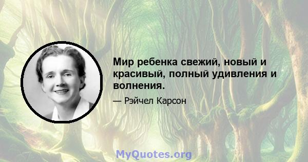 Мир ребенка свежий, новый и красивый, полный удивления и волнения.