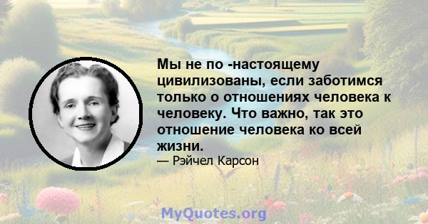 Мы не по -настоящему цивилизованы, если заботимся только о отношениях человека к человеку. Что важно, так это отношение человека ко всей жизни.