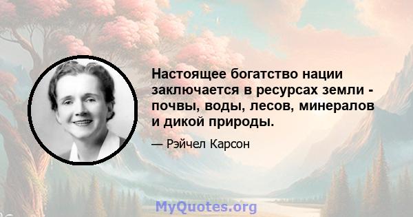 Настоящее богатство нации заключается в ресурсах земли - почвы, воды, лесов, минералов и дикой природы.