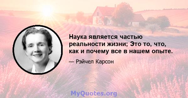 Наука является частью реальности жизни; Это то, что, как и почему все в нашем опыте.