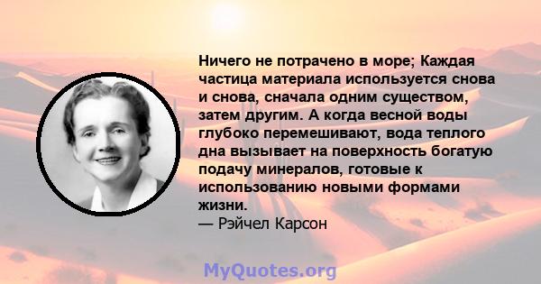 Ничего не потрачено в море; Каждая частица материала используется снова и снова, сначала одним существом, затем другим. А когда весной воды глубоко перемешивают, вода теплого дна вызывает на поверхность богатую подачу