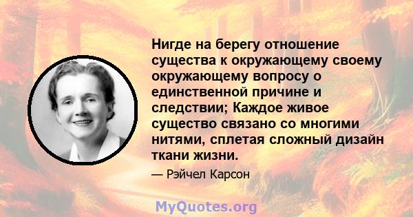 Нигде на берегу отношение существа к окружающему своему окружающему вопросу о единственной причине и следствии; Каждое живое существо связано со многими нитями, сплетая сложный дизайн ткани жизни.