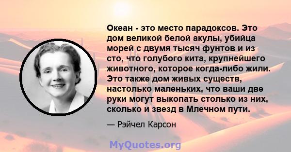 Океан - это место парадоксов. Это дом великой белой акулы, убийца морей с двумя тысяч фунтов и из сто, что голубого кита, крупнейшего животного, которое когда-либо жили. Это также дом живых существ, настолько маленьких, 