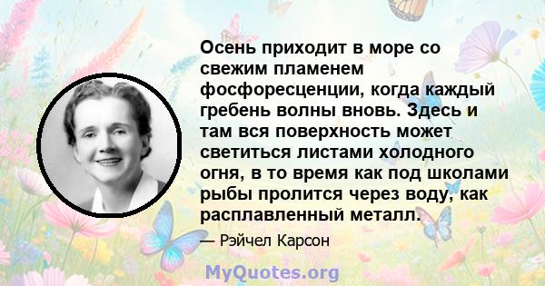 Осень приходит в море со свежим пламенем фосфоресценции, когда каждый гребень волны вновь. Здесь и там вся поверхность может светиться листами холодного огня, в то время как под школами рыбы пролится через воду, как