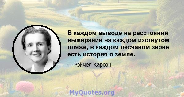 В каждом выводе на расстоянии выжирания на каждом изогнутом пляже, в каждом песчаном зерне есть история о земле.