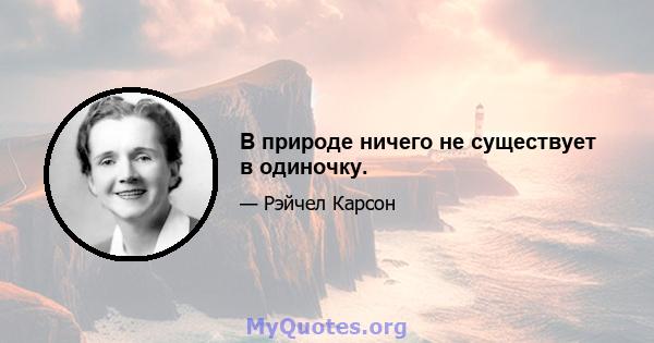 В природе ничего не существует в одиночку.