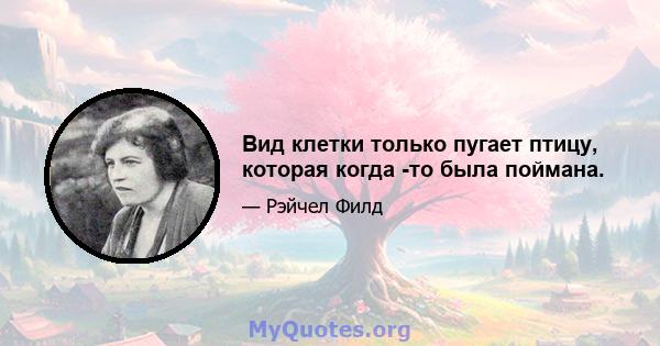 Вид клетки только пугает птицу, которая когда -то была поймана.