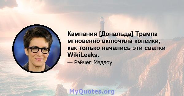 Кампания [Дональда] Трампа мгновенно включила копейки, как только начались эти свалки WikiLeaks.