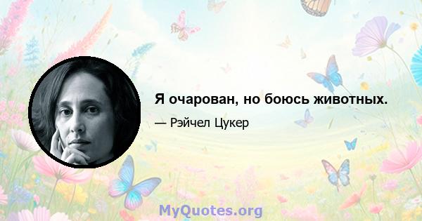 Я очарован, но боюсь животных.