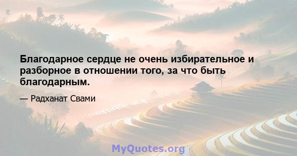 Благодарное сердце не очень избирательное и разборное в отношении того, за что быть благодарным.