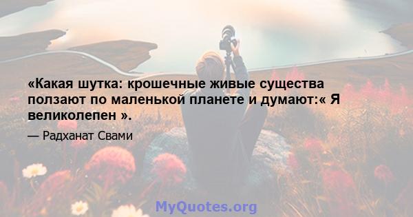 «Какая шутка: крошечные живые существа ползают по маленькой планете и думают:« Я великолепен ».