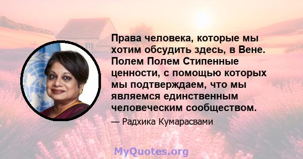 Права человека, которые мы хотим обсудить здесь, в Вене. Полем Полем Стипенные ценности, с помощью которых мы подтверждаем, что мы являемся единственным человеческим сообществом.