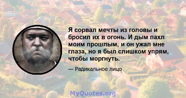 Я сорвал мечты из головы и бросил их в огонь. И дым пахл моим прошлым, и он ужал мне глаза, но я был слишком упрям, чтобы моргнуть.